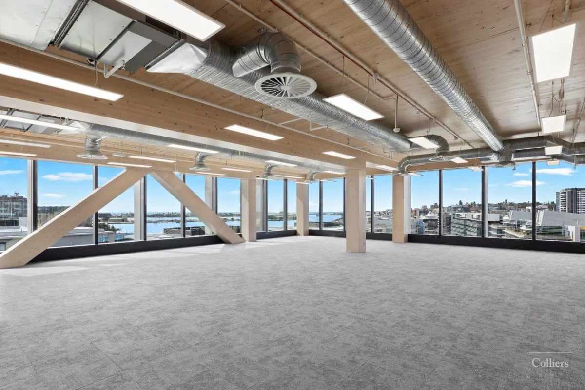 Inside 42 Honeysuckle Drive: open-plan office floor with exposed timber ceiling and harbour views